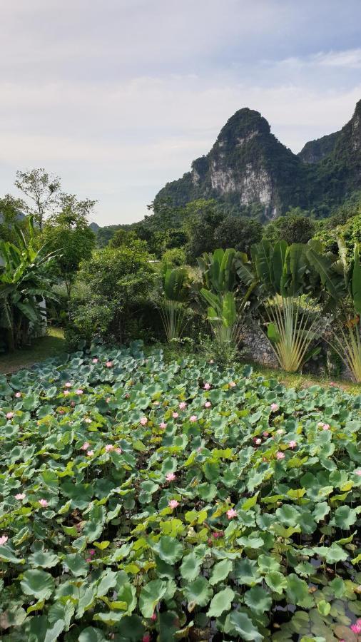 Aravinda Resort ニンビン エクステリア 写真