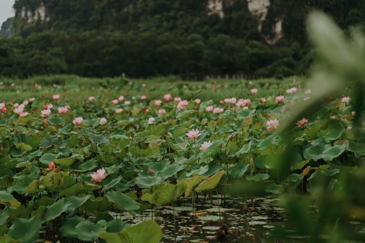 Aravinda Resort ニンビン エクステリア 写真